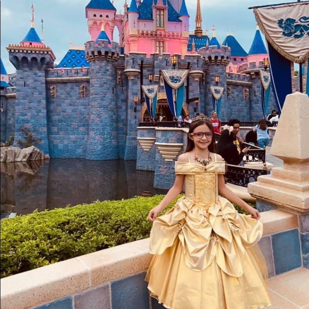 Beautiful Custom Belle Beauty and The Beast Gown Dress